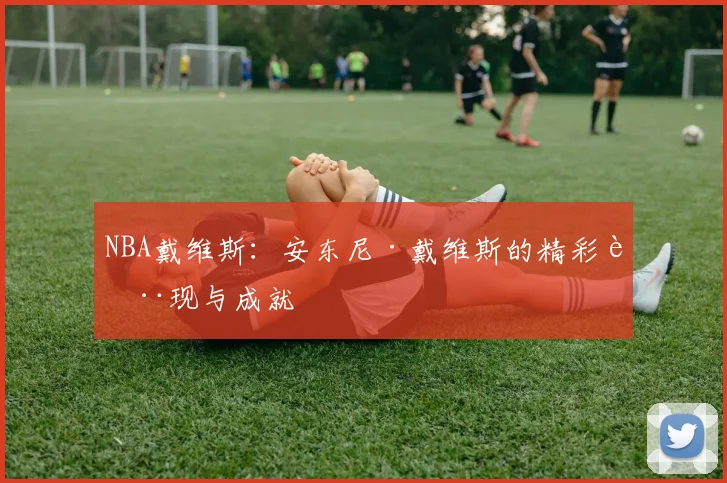 NBA戴维斯：安东尼·戴维斯的精彩表现与成就