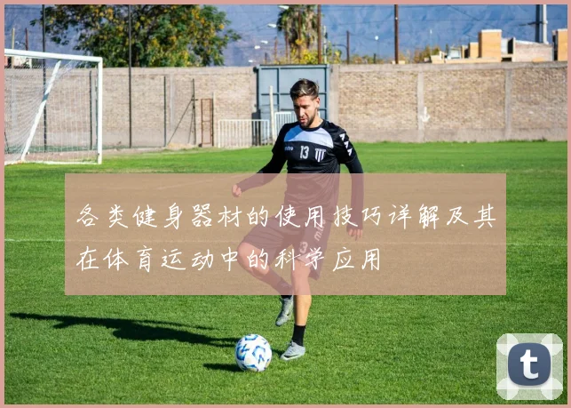 各类健身器材的使用技巧详解及其在体育运动中的科学应用