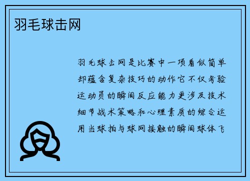 羽毛球击网