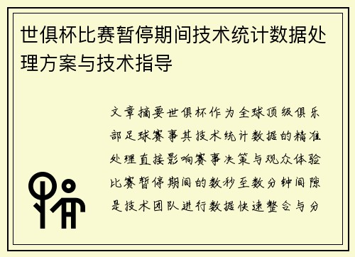 世俱杯比赛暂停期间技术统计数据处理方案与技术指导